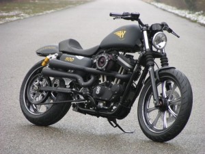 Walz Hardcore Custom Harley Davidson Motorcycle