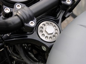 Walz Hardcore Custom Harley Davidson Motorcycle